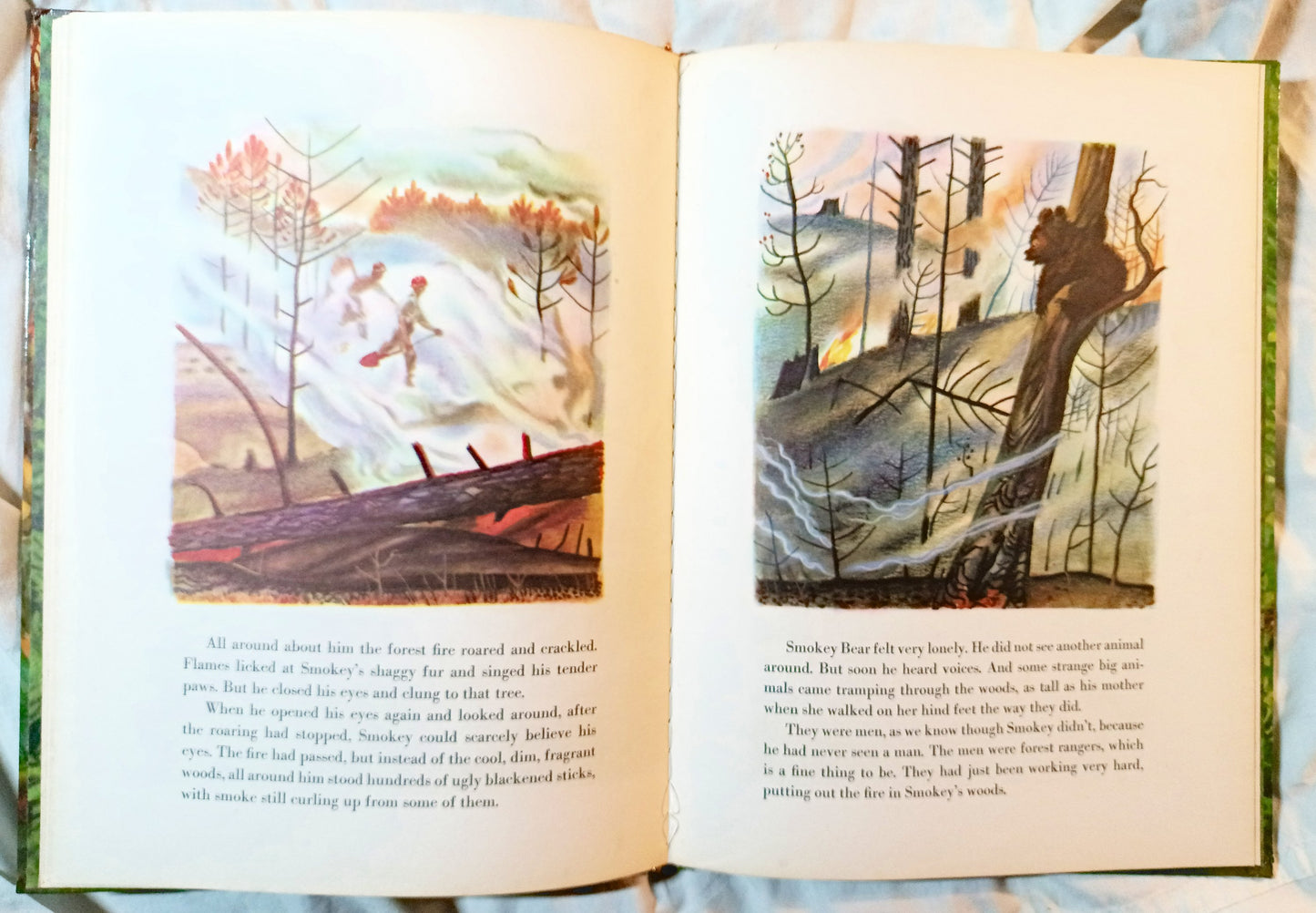 The True Story Of Smokey The Bear Big Golden Book 1966 - Tuliptuff