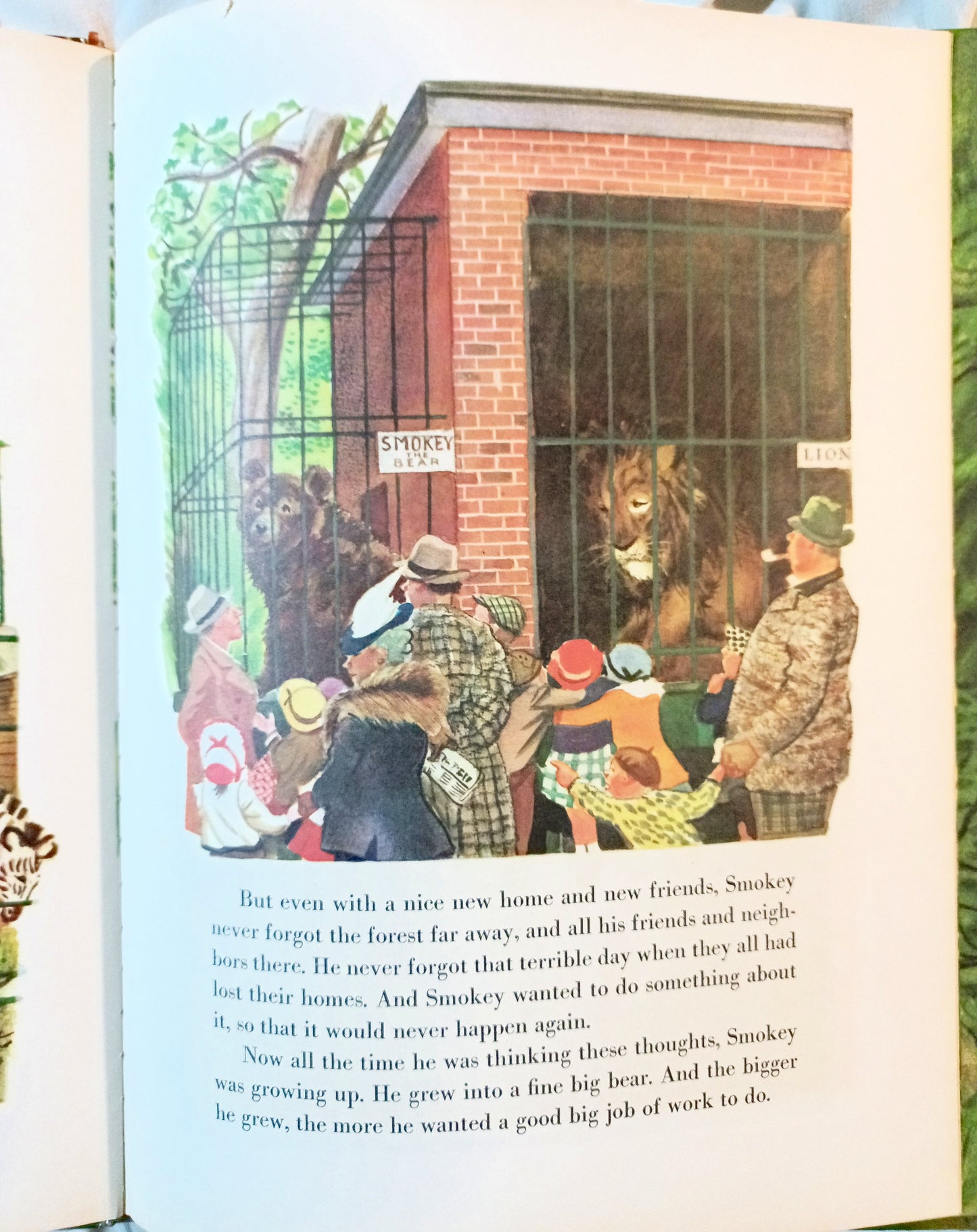 The True Story Of Smokey The Bear Big Golden Book 1966 - Tuliptuff