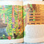 The True Story Of Smokey The Bear Big Golden Book 1966 - Tuliptuff
