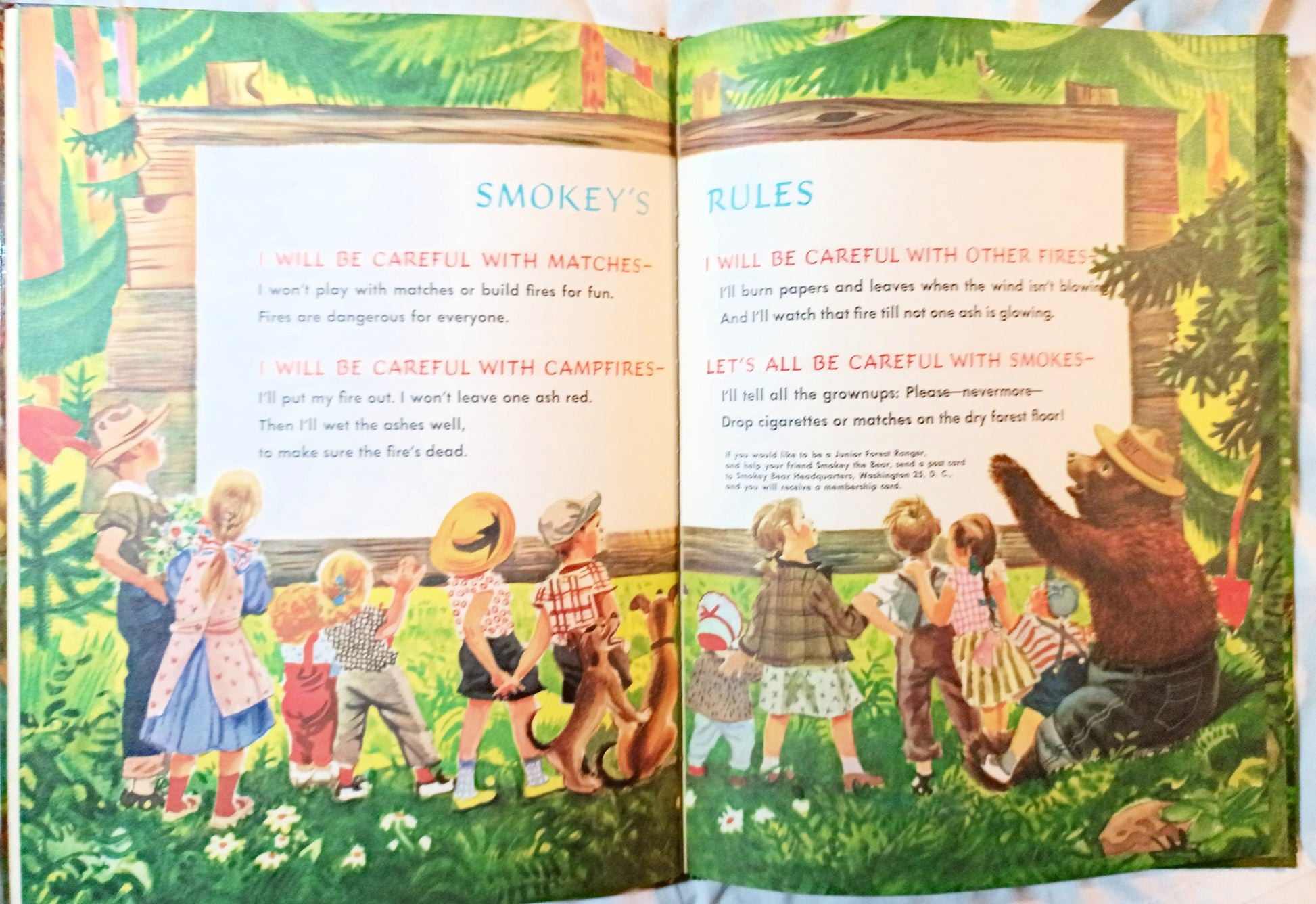 The True Story Of Smokey The Bear Big Golden Book 1966 - Tuliptuff