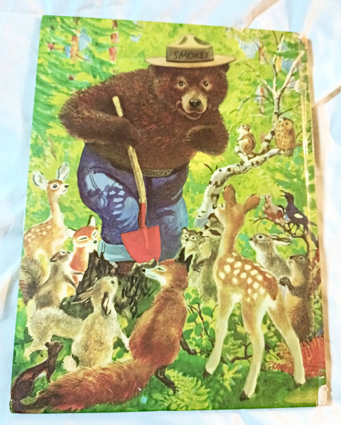 The True Story Of Smokey The Bear Big Golden Book 1966 - Tuliptuff