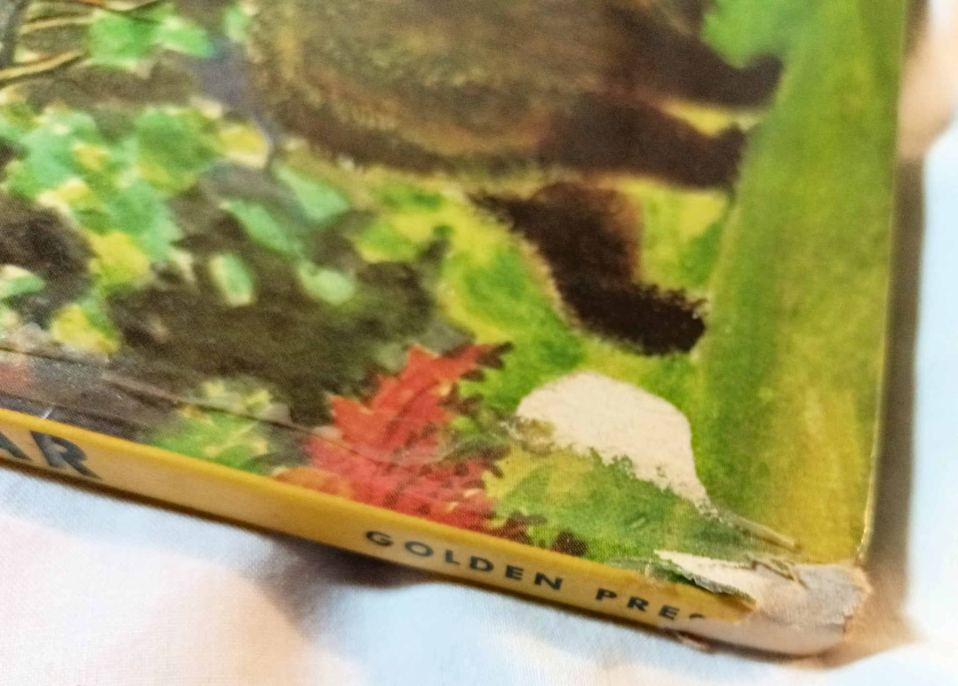 The True Story Of Smokey The Bear Big Golden Book 1966 - Tuliptuff
