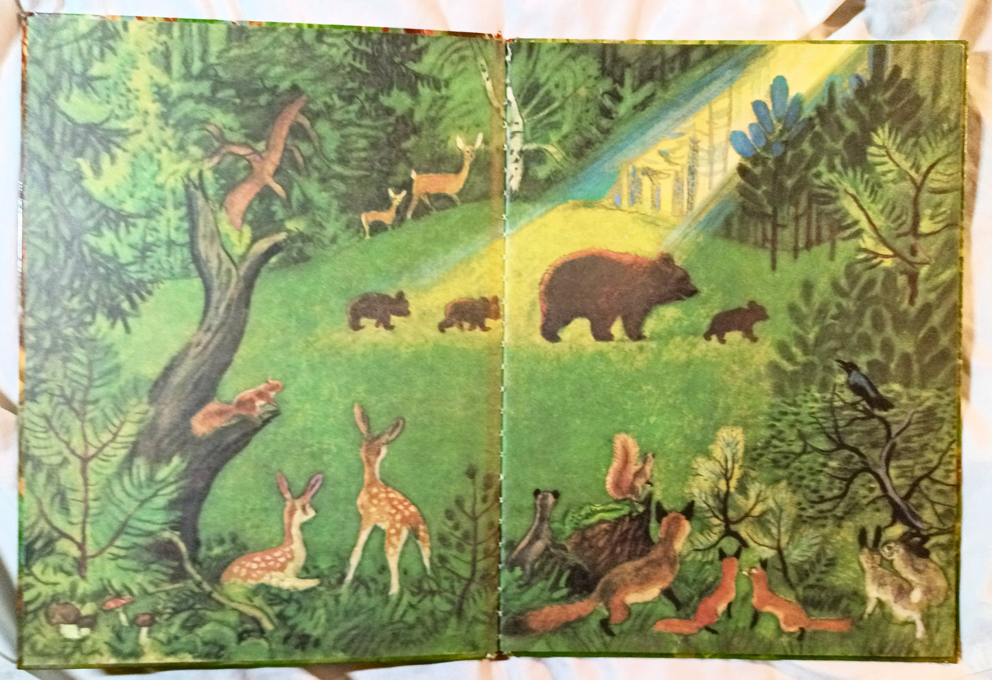 The True Story Of Smokey The Bear Big Golden Book 1966 - Tuliptuff