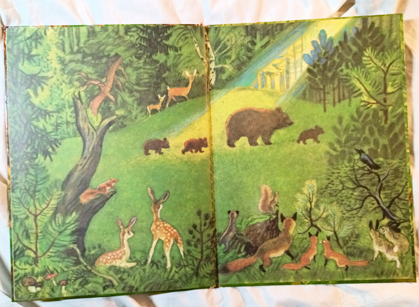 The True Story Of Smokey The Bear Big Golden Book 1966 - Tuliptuff