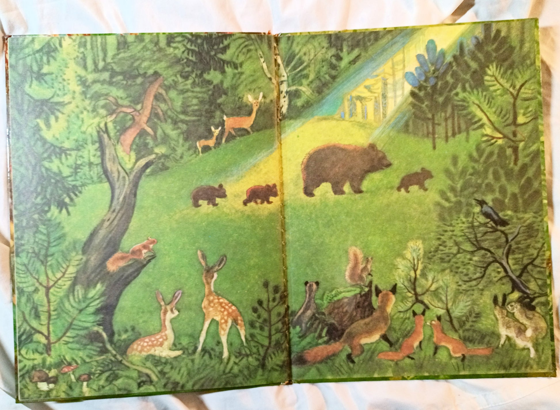 The True Story Of Smokey The Bear Big Golden Book 1966 - Tuliptuff