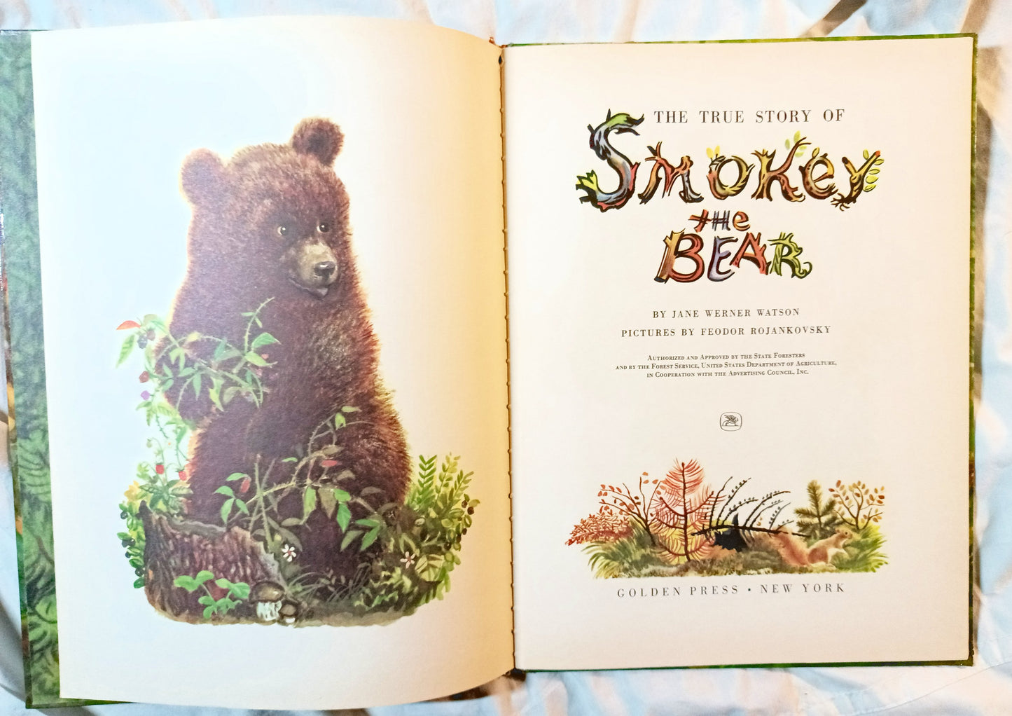 The True Story Of Smokey The Bear Big Golden Book 1966 - Tuliptuff