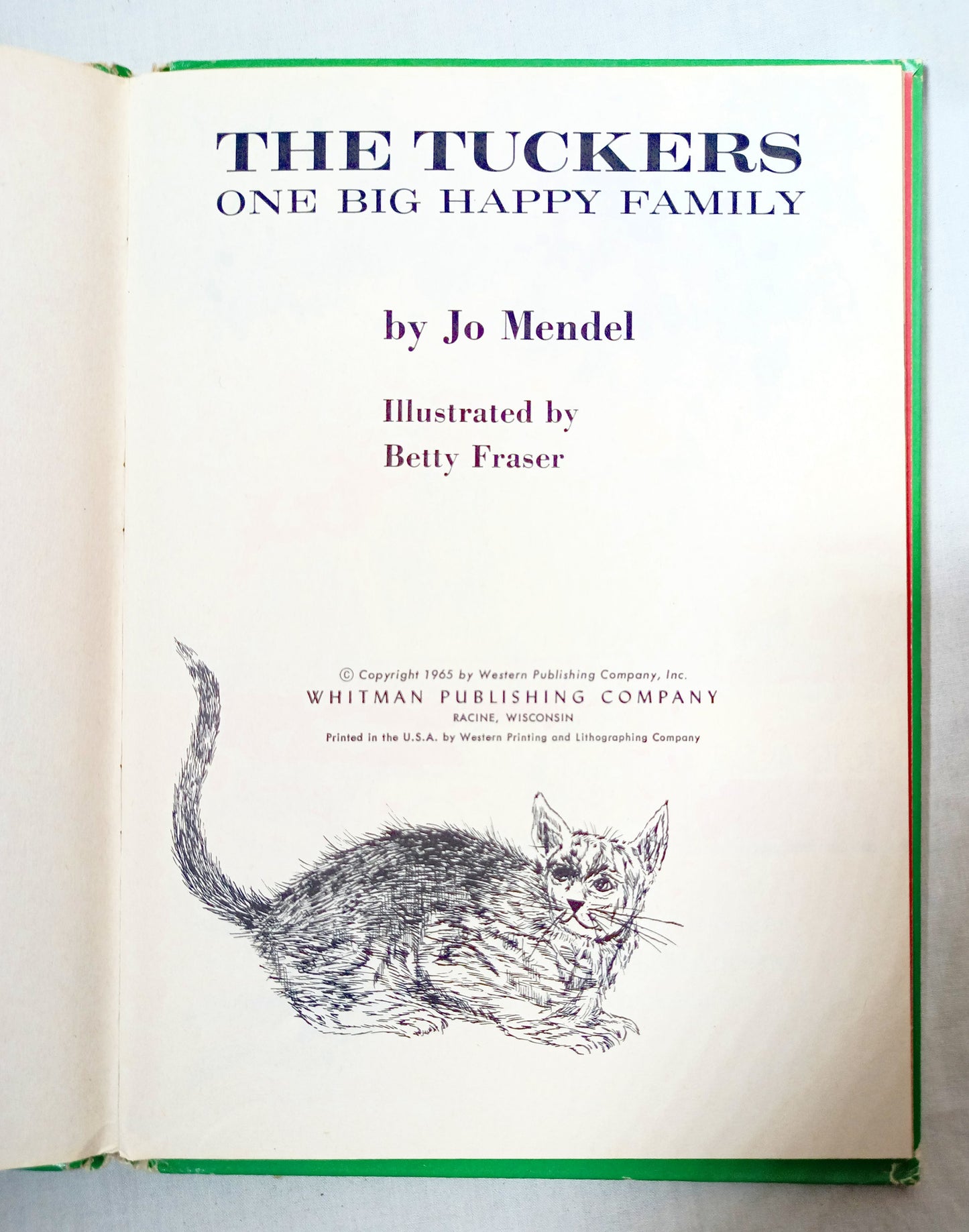 The Tuckers One Big Happy Family Jo Mendel Big Tell-A-Tale 1965 - TulipStuff