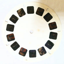 Load image into Gallery viewer, View-Master Reel Indian Days Banff Alberta 320 Sawyer&#39;s 1948 - TulipStuff
