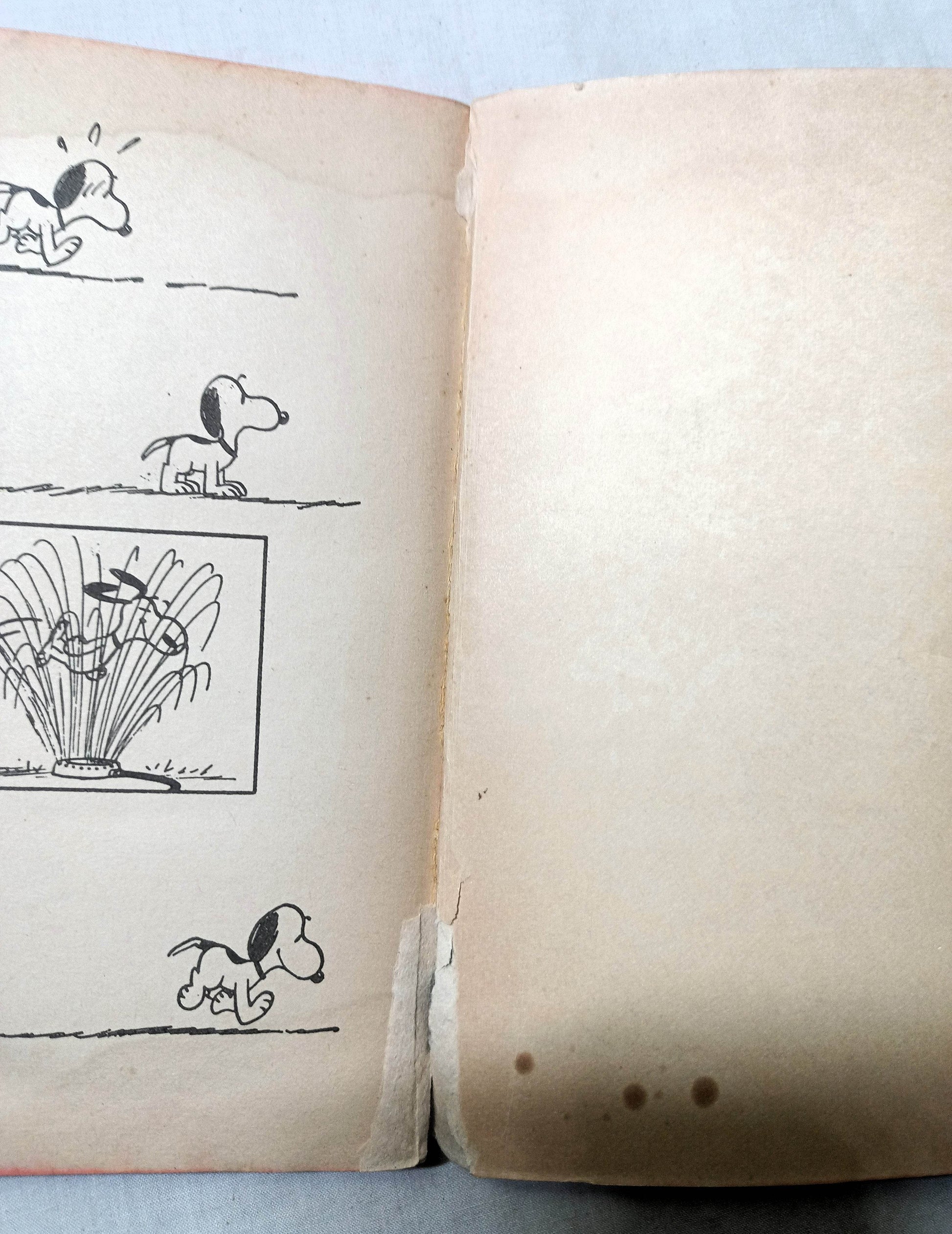 We Love You Snoopy Peanuts Charles M Schulz 1962 Printing Fawcett Crest - TulipStuff