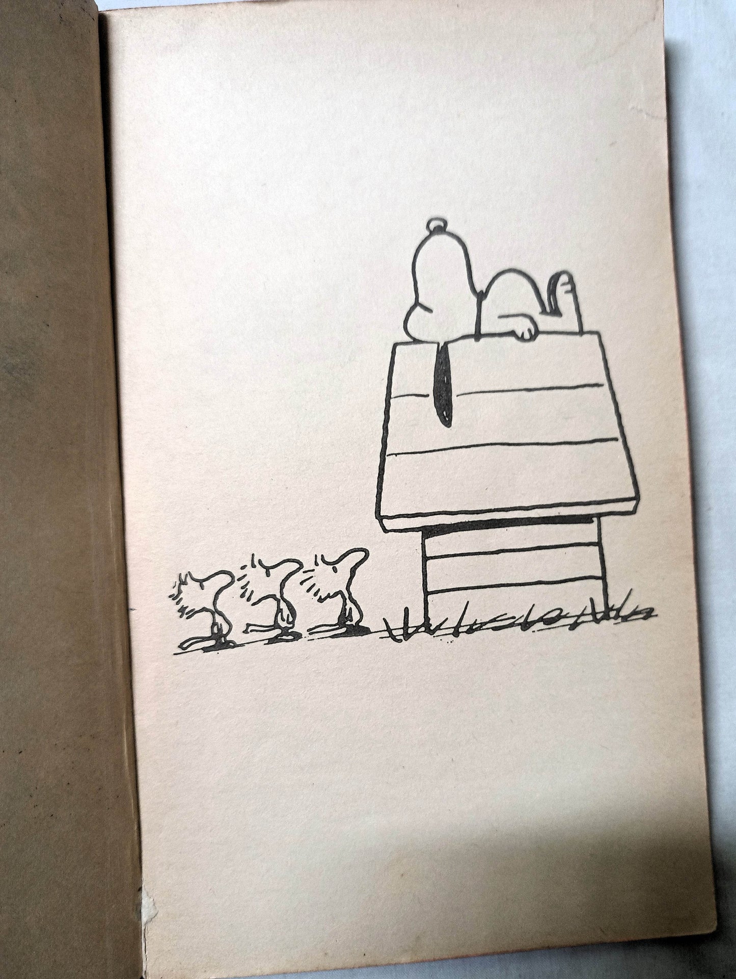 We Love You Snoopy Peanuts Charles M Schulz 1962 Printing Fawcett Crest - TulipStuff