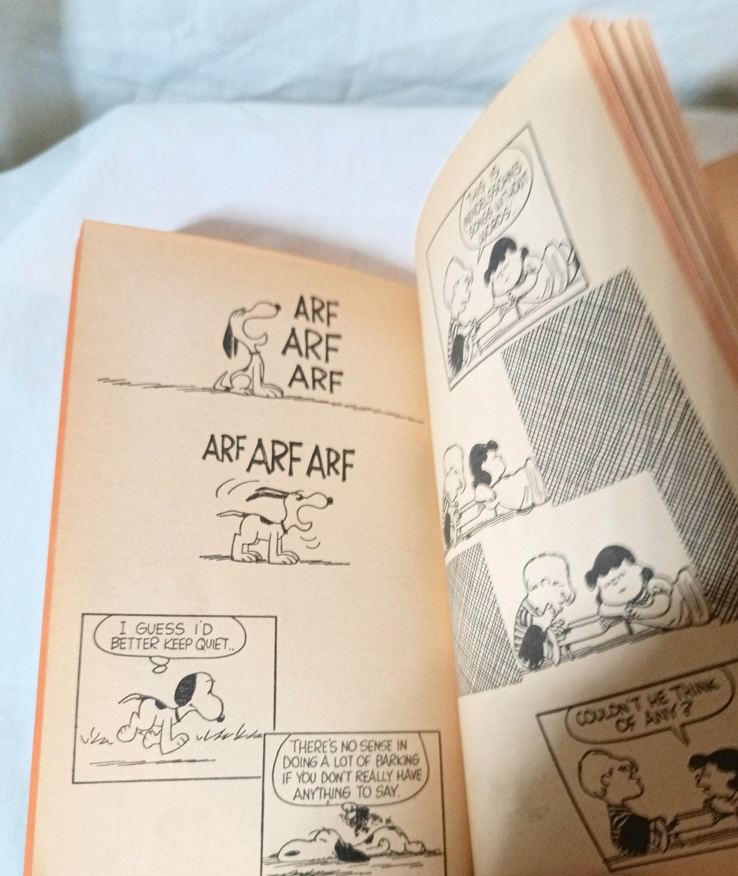 We're On Your Side Charlie Brown Peanuts Charles M Schulz Fawcett 1971 - TulipStuff