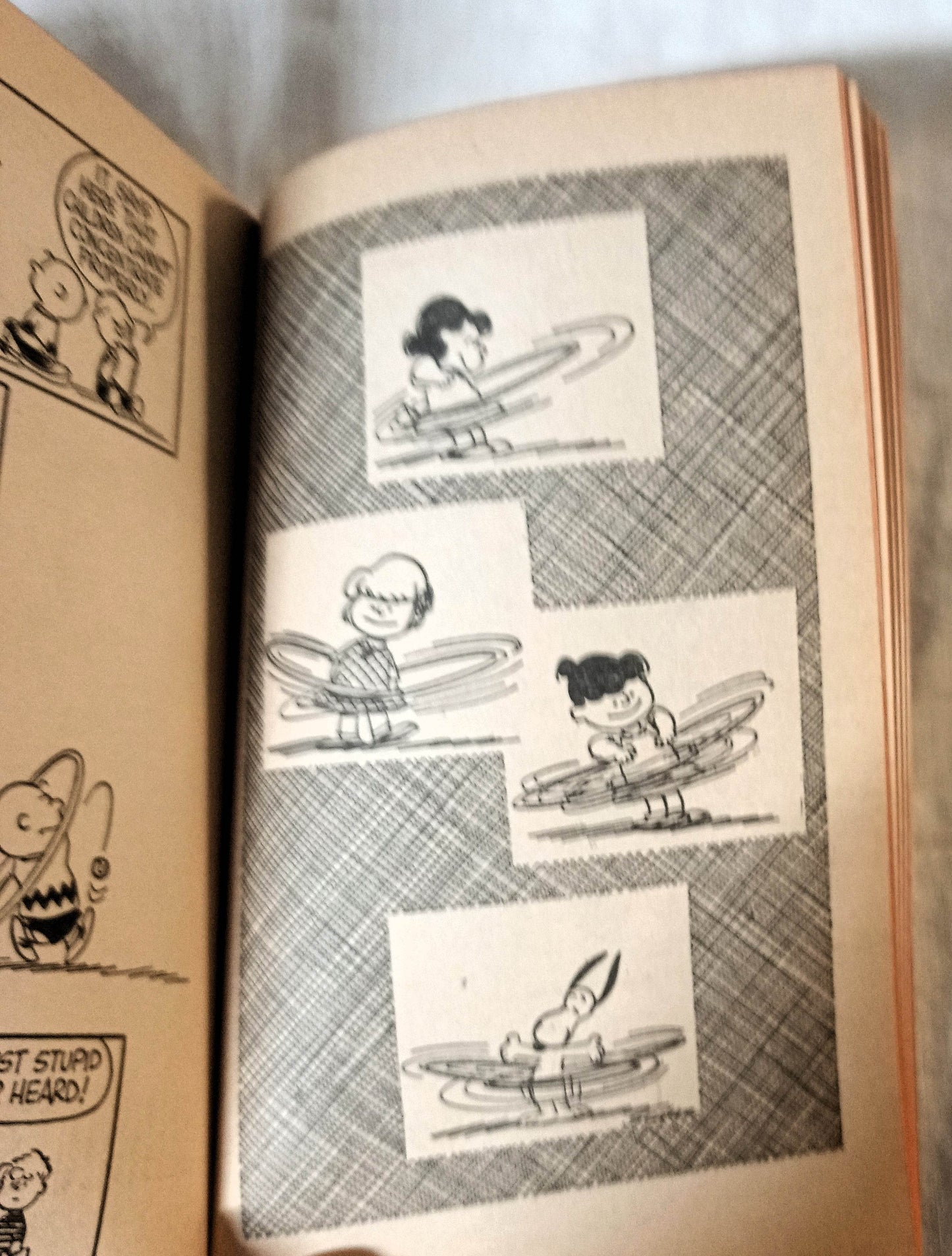 We're On Your Side Charlie Brown Peanuts Charles M Schulz Fawcett 1971 - TulipStuff