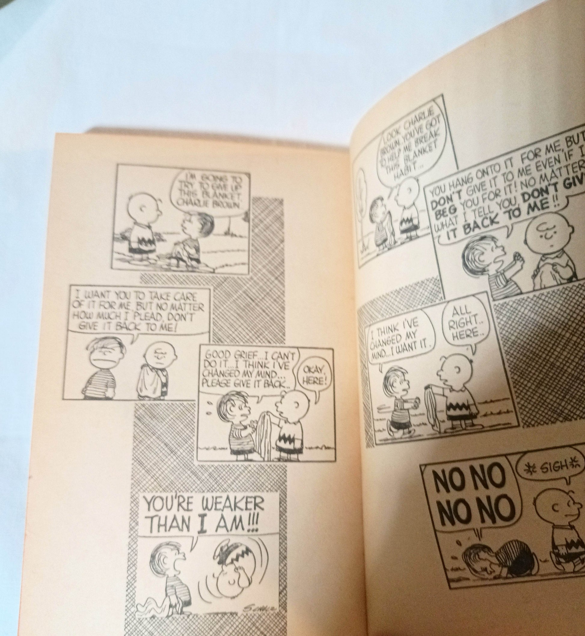 We're On Your Side Charlie Brown Peanuts Charles M Schulz Fawcett 1971 - TulipStuff