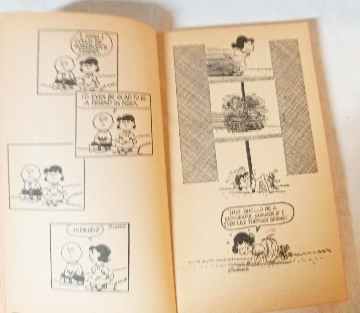 We're On Your Side Charlie Brown Peanuts Charles M Schulz Fawcett 1971 - TulipStuff