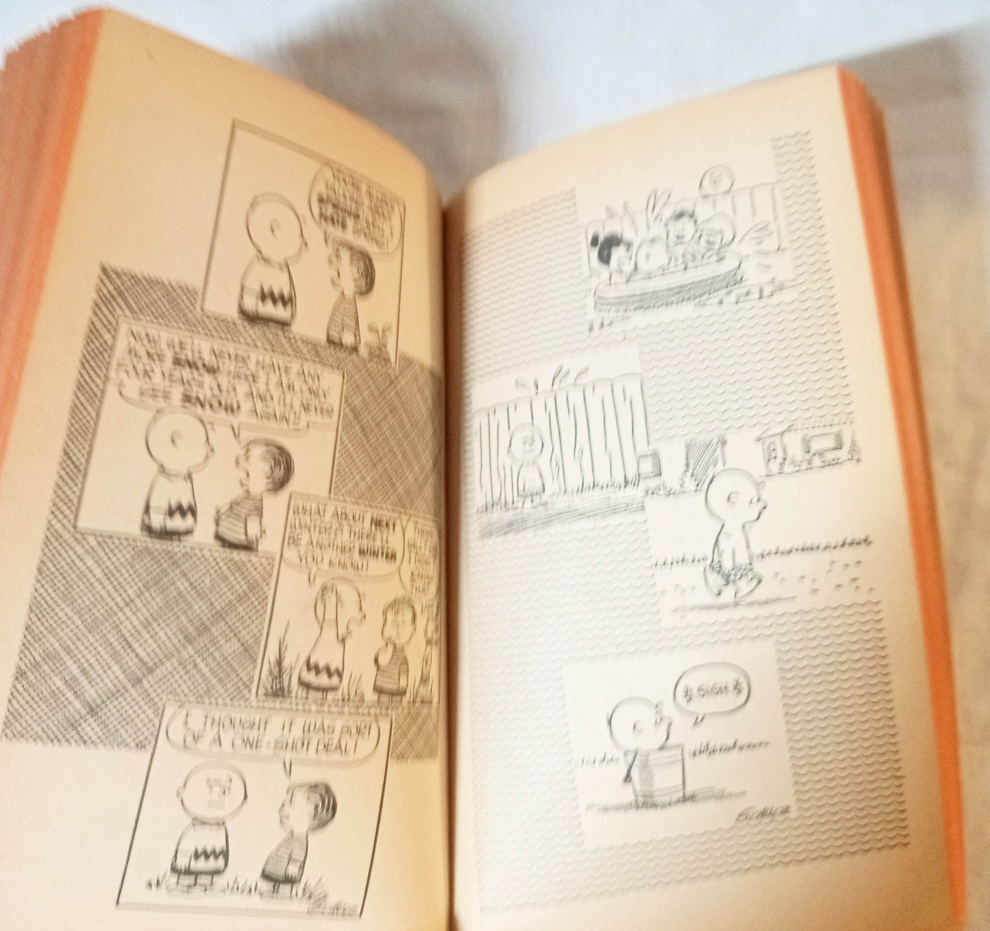 We're On Your Side Charlie Brown Peanuts Charles M Schulz Fawcett 1971 - TulipStuff