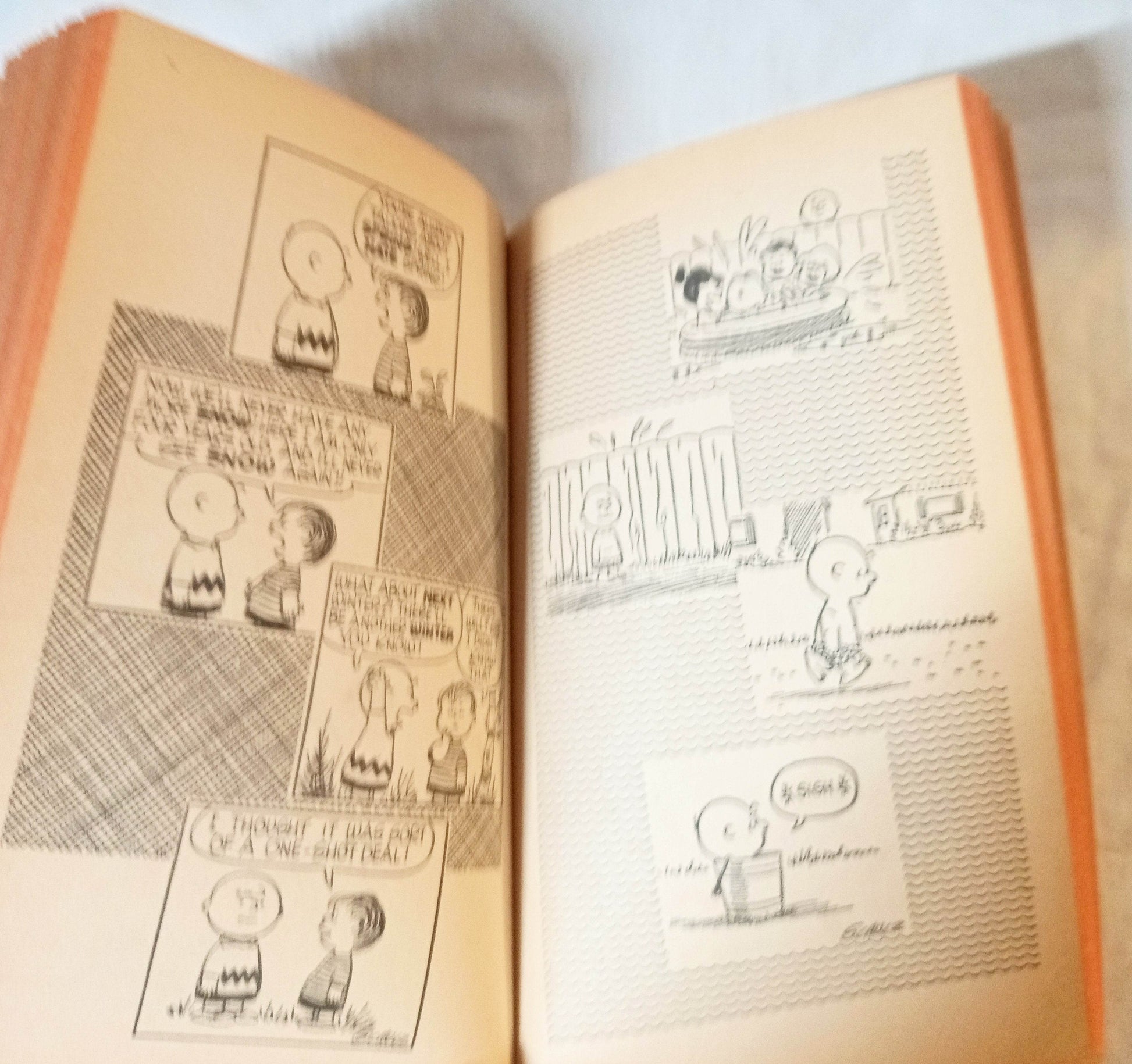 We're On Your Side Charlie Brown Peanuts Charles M Schulz Fawcett 1971 - TulipStuff