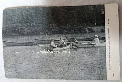 Westfield Massachusetts Feeding The Ducks Hampton Ponds 1900s - TulipStuff