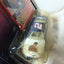 Winners Circle 2001 Driver Sticker Dale Earnhardt Jr #8 Monte Carlo - TulipStuff