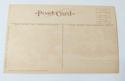 Wright's Park Tacoma Washington 1910's Postcard