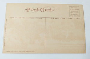 Wright's Park Tacoma Washington 1910's Postcard
