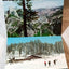 Yosemite National Park Big Trees Souvenir Postcard Booklet 1959 - TulipStuff