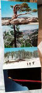 Yosemite National Park Big Trees Souvenir Postcard Booklet 1959 - TulipStuff