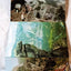 Yosemite National Park Big Trees Souvenir Postcard Booklet 1959 - TulipStuff