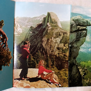 Yosemite National Park Big Trees Souvenir Postcard Booklet 1959 - TulipStuff