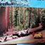 Yosemite National Park Big Trees Souvenir Postcard Booklet 1959 - TulipStuff