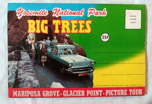 Yosemite National Park Big Trees Souvenir Postcard Booklet 1959 - TulipStuff