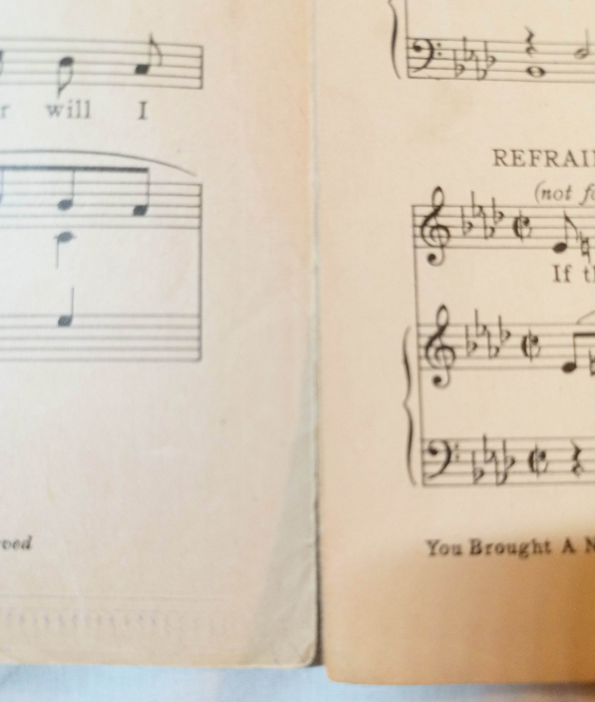 You Brought A New Kind Of Love To Me The Big Pond Sheet Music 1930 - TulipStuff