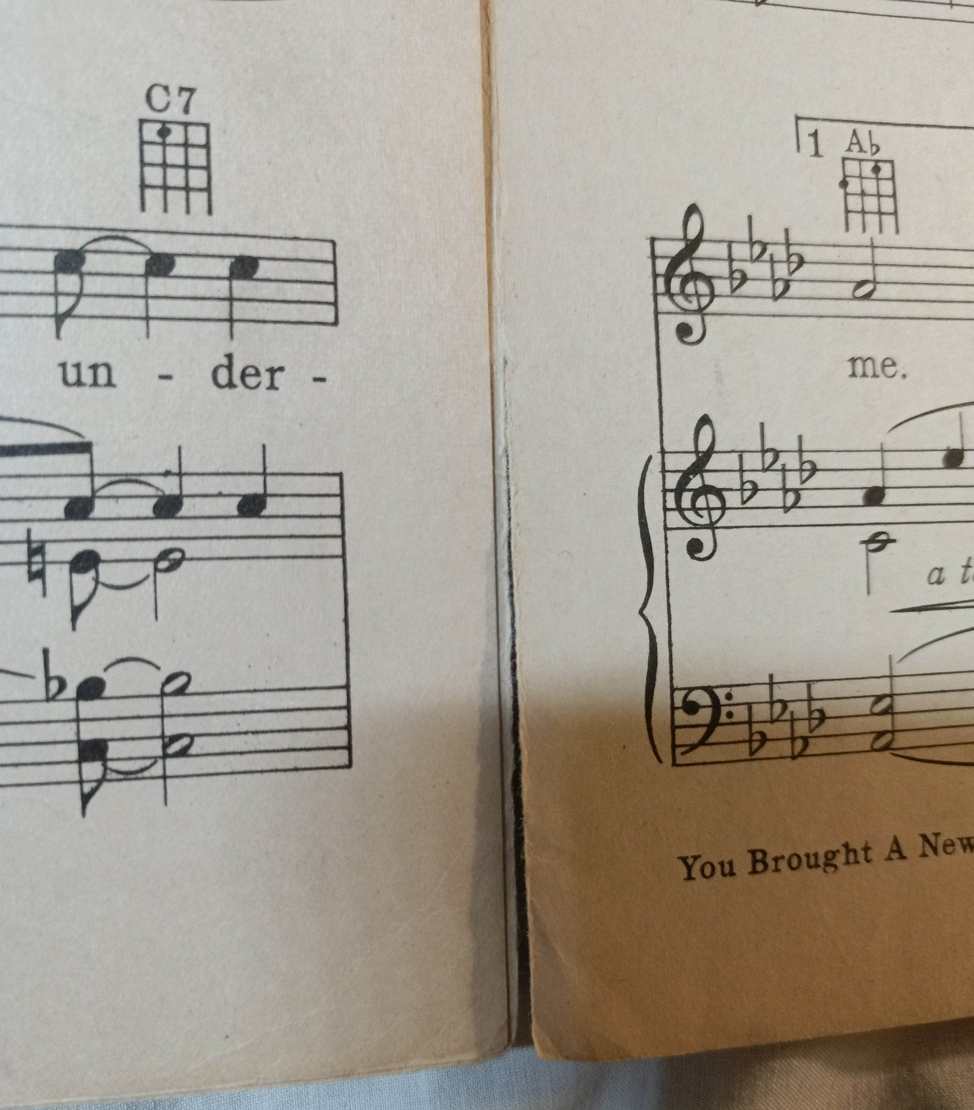 You Brought A New Kind Of Love To Me The Big Pond Sheet Music 1930 - TulipStuff