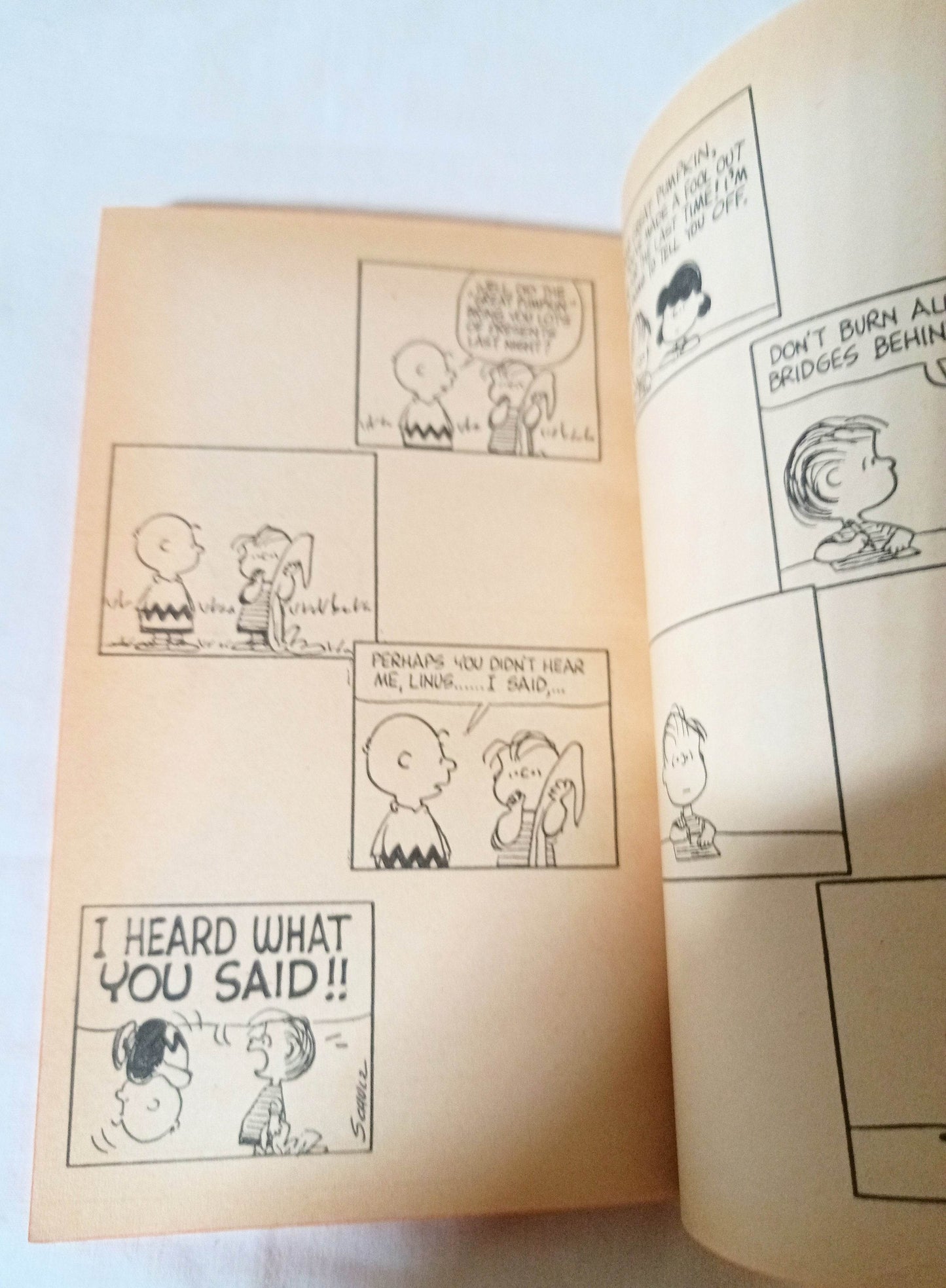 You're A Pal Snoopy Peanuts Charles M Schulz Fawcett Paperback 1972 - TulipStuff