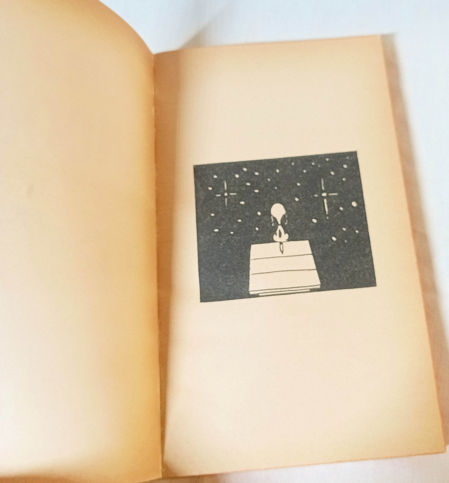 You're A Pal Snoopy Peanuts Charles M Schulz Fawcett Paperback 1972 - TulipStuff