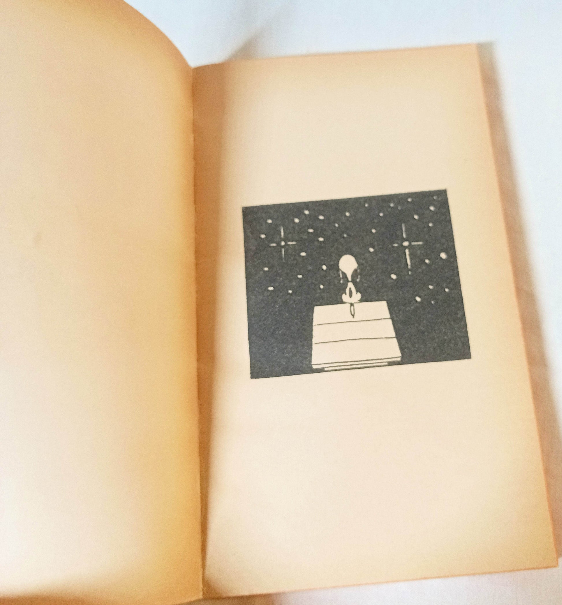 You're A Pal Snoopy Peanuts Charles M Schulz Fawcett Paperback 1972 - TulipStuff