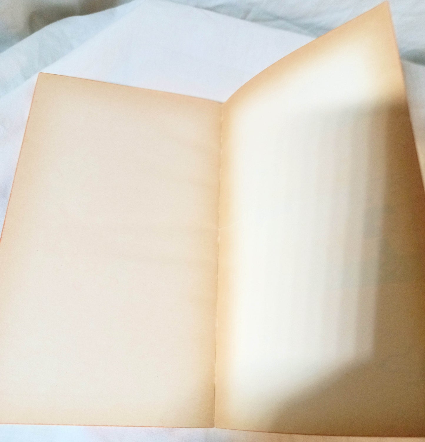 You're A Pal Snoopy Peanuts Charles M Schulz Fawcett Paperback 1972 - TulipStuff