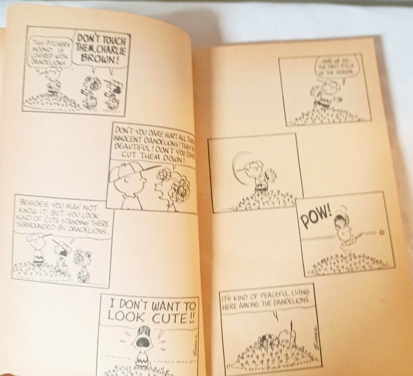 You're A Pal Snoopy Peanuts Charles M Schulz Fawcett Paperback 1972 - TulipStuff