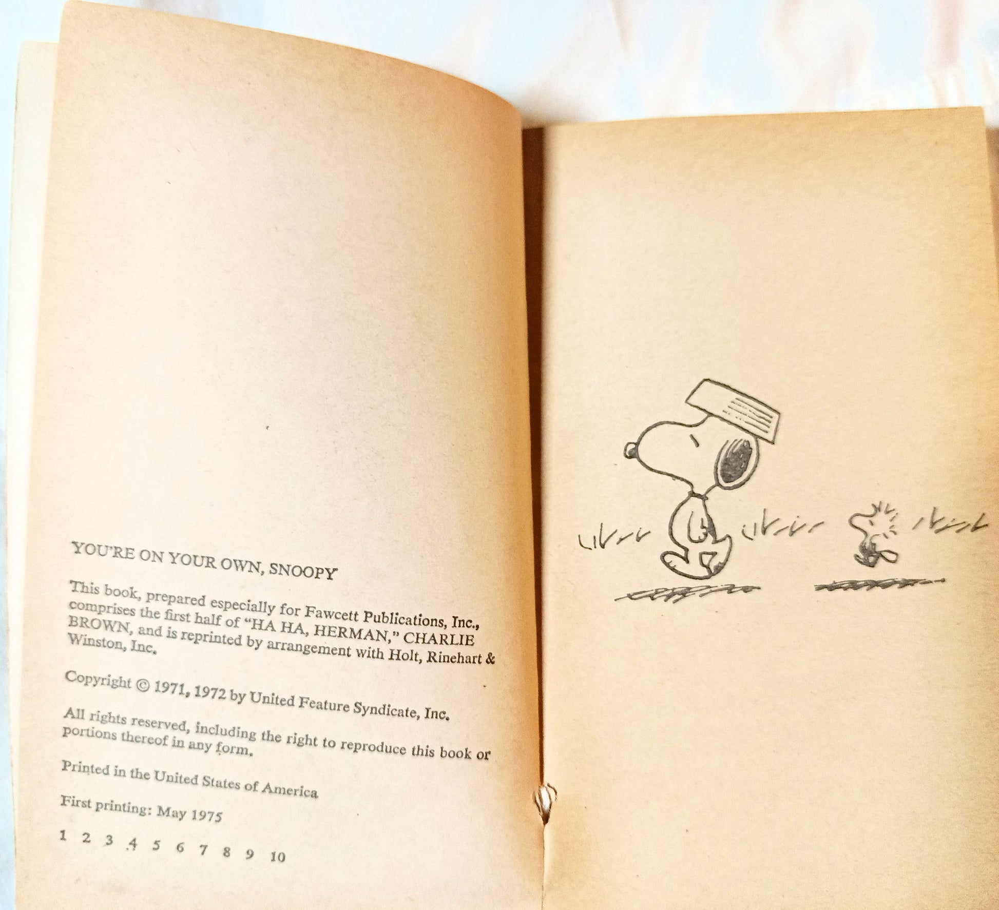 You're On Your Own Snoopy Peanuts Charles M Schulz Fawcett 1975 - TulipStuff