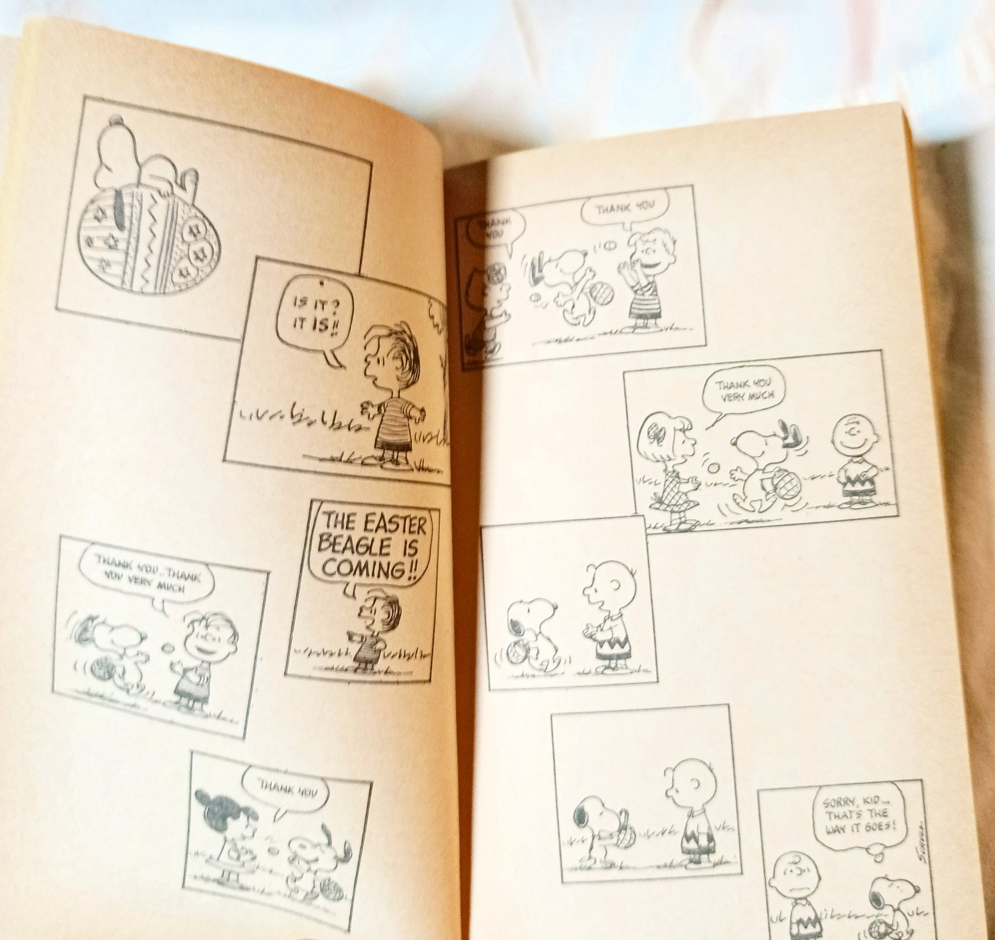 You're On Your Own Snoopy Peanuts Charles M Schulz Fawcett 1975 - TulipStuff