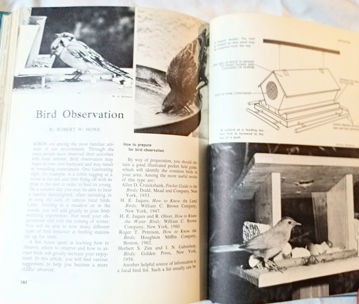 Young Peoples Book Of The Year 1966 Book of Knowledge Annual Grolier - TulipStuff