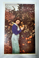 Load image into Gallery viewer, Woman Florida Oranges and Orange Trees 1940&#39;s Postcard - TulipStuff
