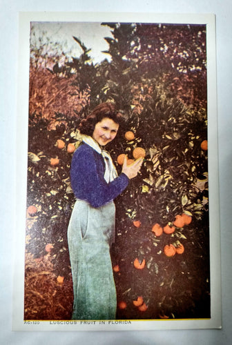 Woman Florida Oranges and Orange Trees 1940's Postcard - TulipStuff