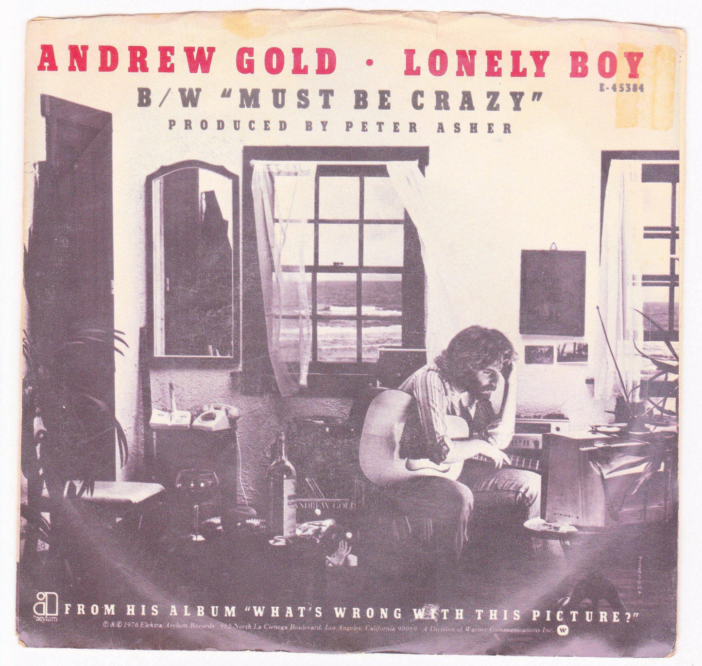 Andrew Gold Lonely Boy b/w Must Be Crazy 7" 45rpm Vinyl Record 1976 - TulipStuff