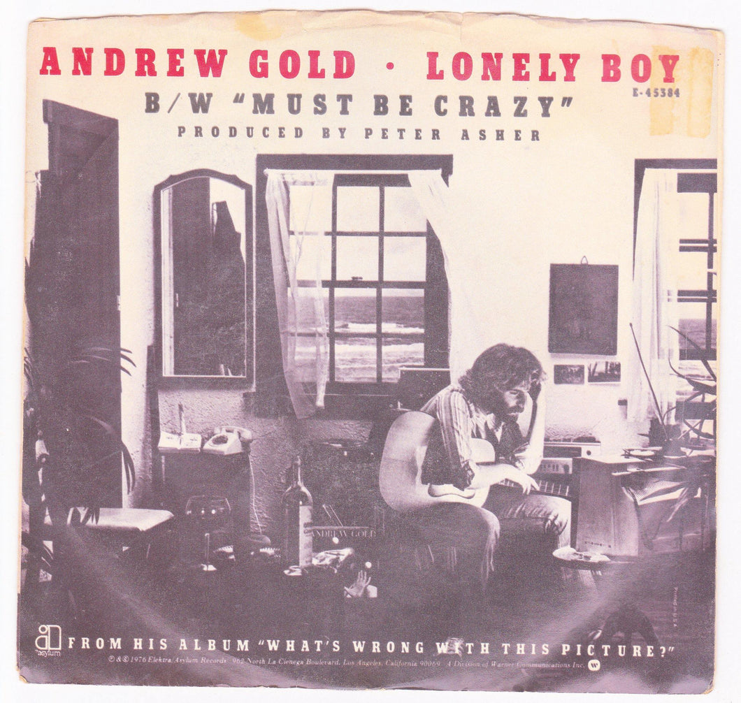 Andrew Gold Lonely Boy b/w Must Be Crazy 7