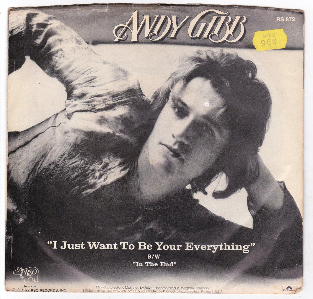 Andy Gibb I Just Want To Be Your Everything 7