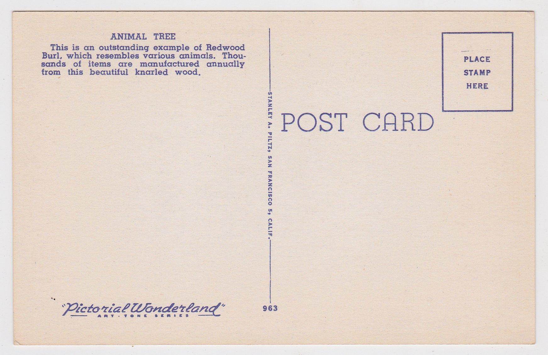 Animal Tree Big Basin California Redwood Burl 1940's Linen Postcard - TulipStuff