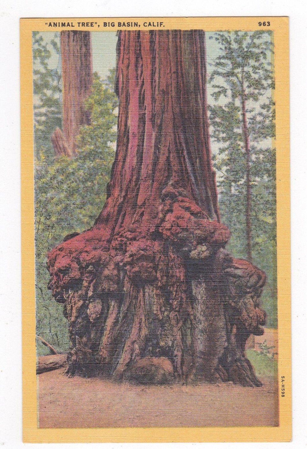 Animal Tree Big Basin California Redwood Burl 1940's Linen Postcard - TulipStuff