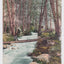 Ashland Creek Canyon Oregon 1910's Antique Postcard - TulipStuff