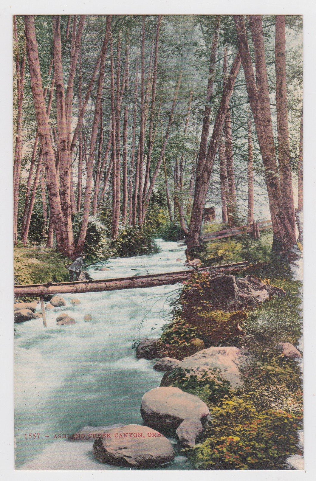 Ashland Creek Canyon Oregon 1910's Antique Postcard - TulipStuff