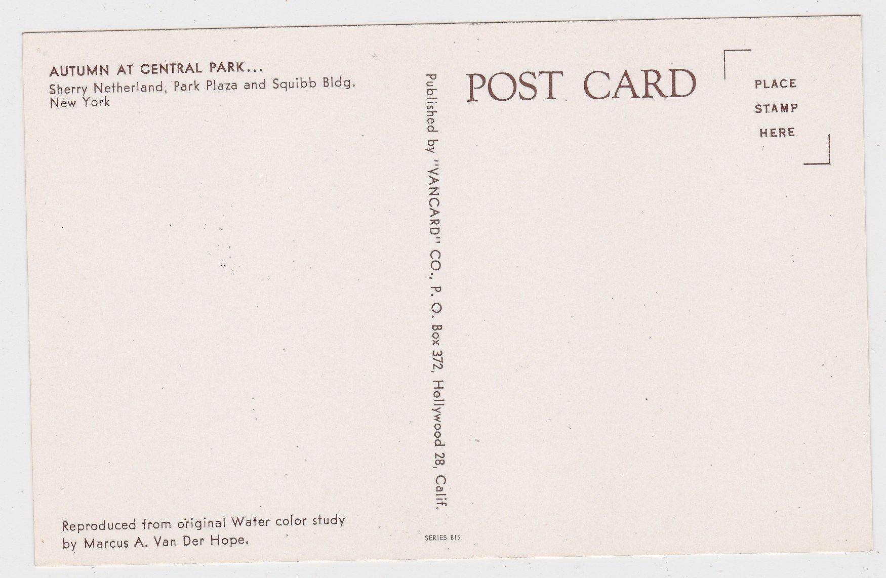 Autumn in Central Park New York City 1950's Postcard - TulipStuff